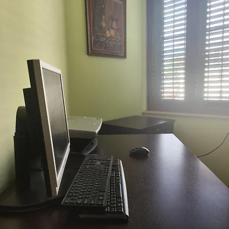 A Flower In Appartement Tirana