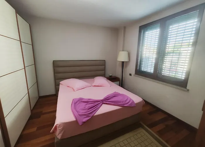 A Flower In Lejlighed Tirana