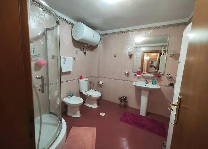 A Flower In ティラナ