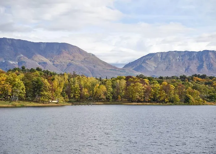 A Flower In アパート *