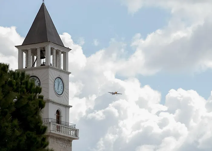 A Flower In * ティラナ