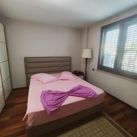 A Flower In Apartment Tirana