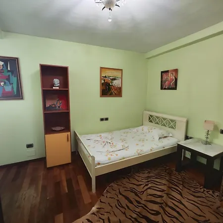 A Flower In Apartment Tirana