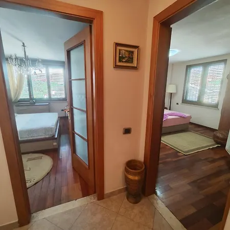 A Flower In Тирана