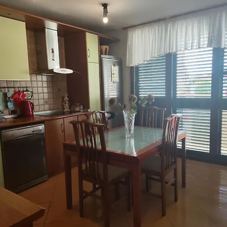 A Flower In Apartment Tirana