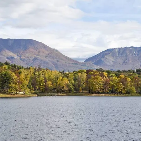 A Flower In Apartmán *