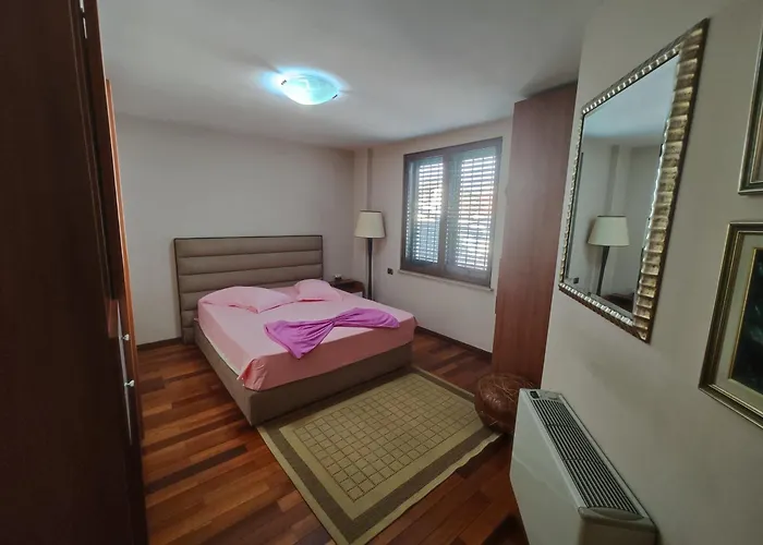 A Flower In * Tirana